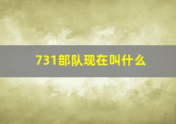 731部队现在叫什么