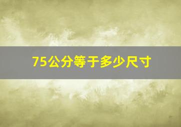 75公分等于多少尺寸