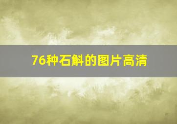 76种石斛的图片高清