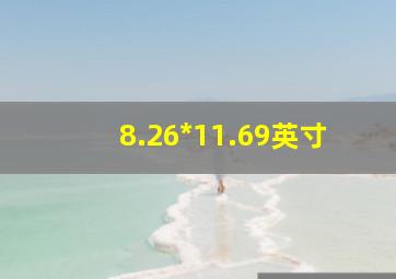 8.26*11.69英寸