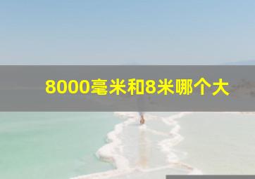 8000毫米和8米哪个大