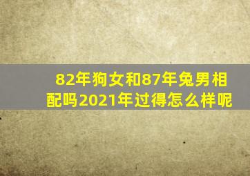 82年狗女和87年兔男相配吗2021年过得怎么样呢