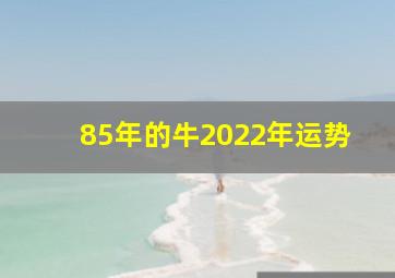 85年的牛2022年运势