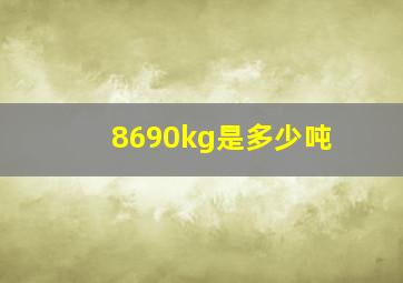 8690kg是多少吨