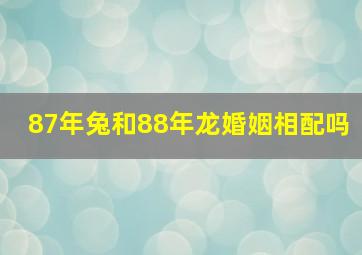 87年兔和88年龙婚姻相配吗