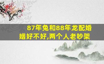 87年兔和88年龙配婚姻好不好,两个人老吵架