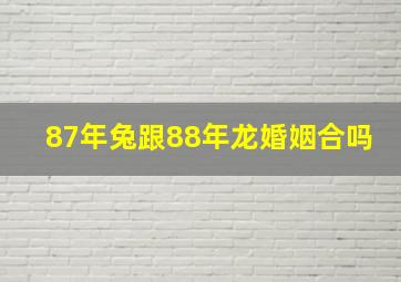 87年兔跟88年龙婚姻合吗