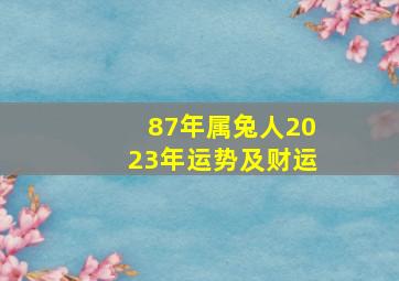 87年属兔人2023年运势及财运