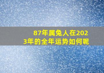 87年属兔人在2023年的全年运势如何呢