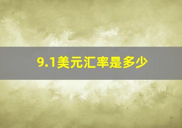 9.1美元汇率是多少