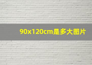 90x120cm是多大图片