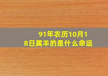 91年农历10月18日属羊的是什么命运