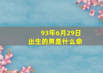 93年6月29日出生的男是什么命