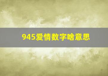 945爱情数字啥意思