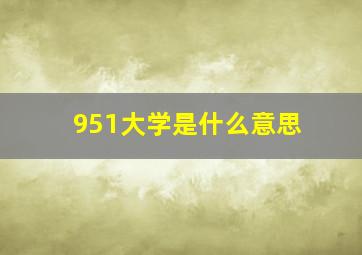 951大学是什么意思