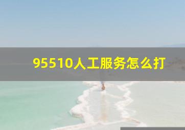 95510人工服务怎么打