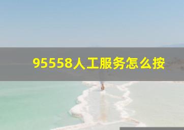 95558人工服务怎么按