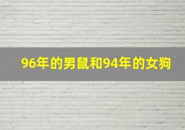 96年的男鼠和94年的女狗