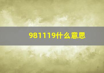 981119什么意思