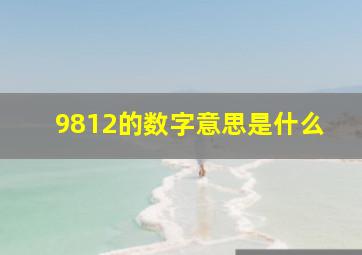 9812的数字意思是什么