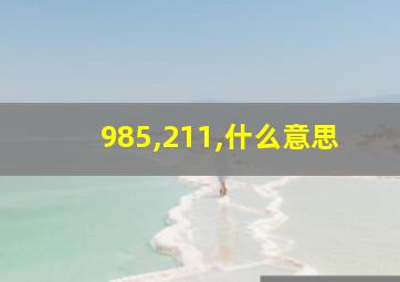 985,211,什么意思