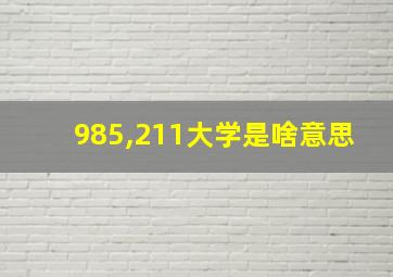 985,211大学是啥意思