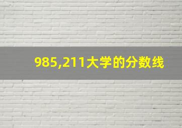 985,211大学的分数线