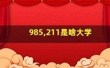 985,211是啥大学