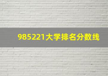 985221大学排名分数线