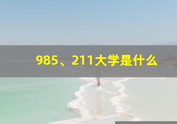 985、211大学是什么