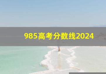 985高考分数线2024