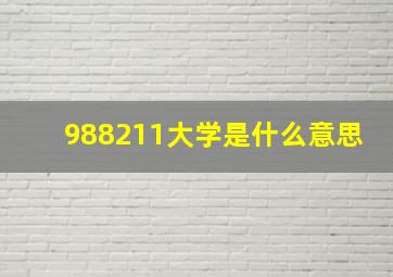 988211大学是什么意思