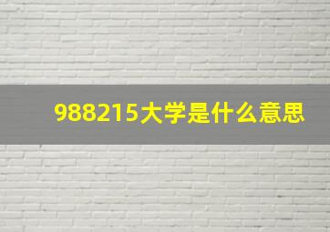 988215大学是什么意思