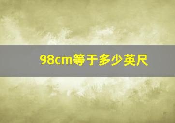 98cm等于多少英尺