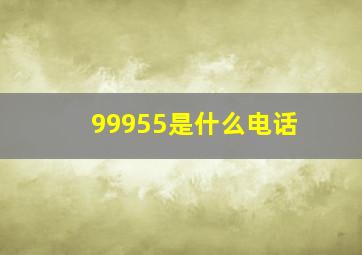 99955是什么电话