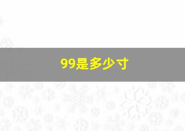 99是多少寸