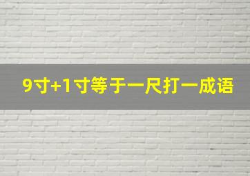 9寸+1寸等于一尺打一成语