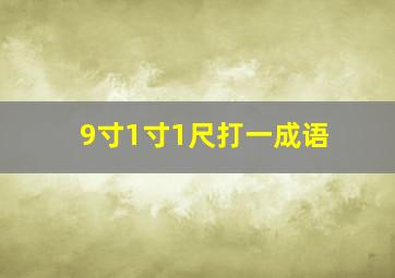 9寸1寸1尺打一成语