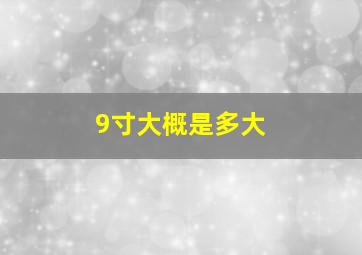 9寸大概是多大