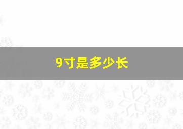 9寸是多少长