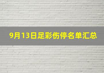 9月13日足彩伤停名单汇总