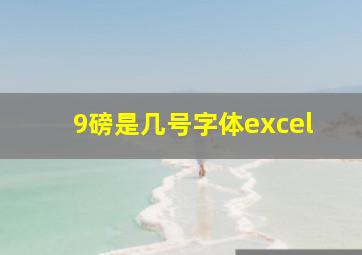 9磅是几号字体excel