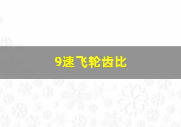 9速飞轮齿比