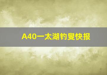 A40一太湖钓叟快报