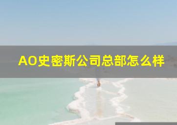 AO史密斯公司总部怎么样