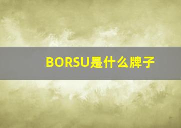 BORSU是什么牌子