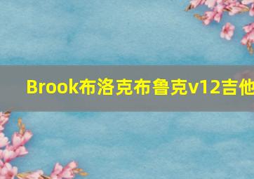 Brook布洛克布鲁克v12吉他