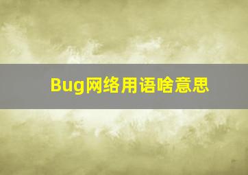 Bug网络用语啥意思