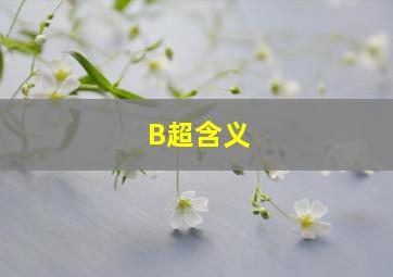 B超含义