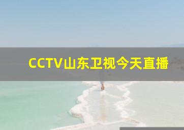 CCTV山东卫视今天直播